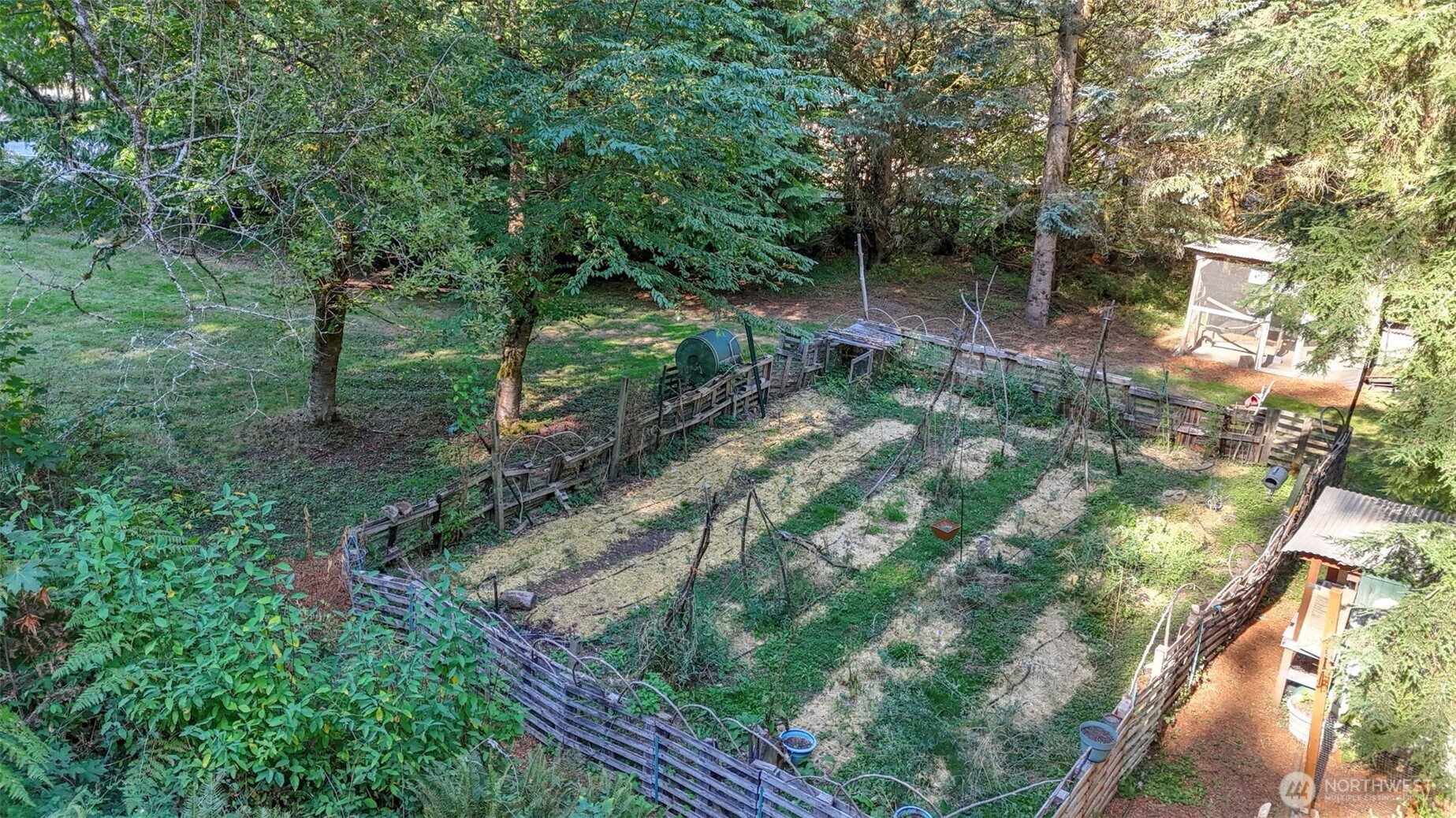 12450 186th Place Southeast Renton, WA 98059 - Photo 14 of 22 a view of backyard with green space