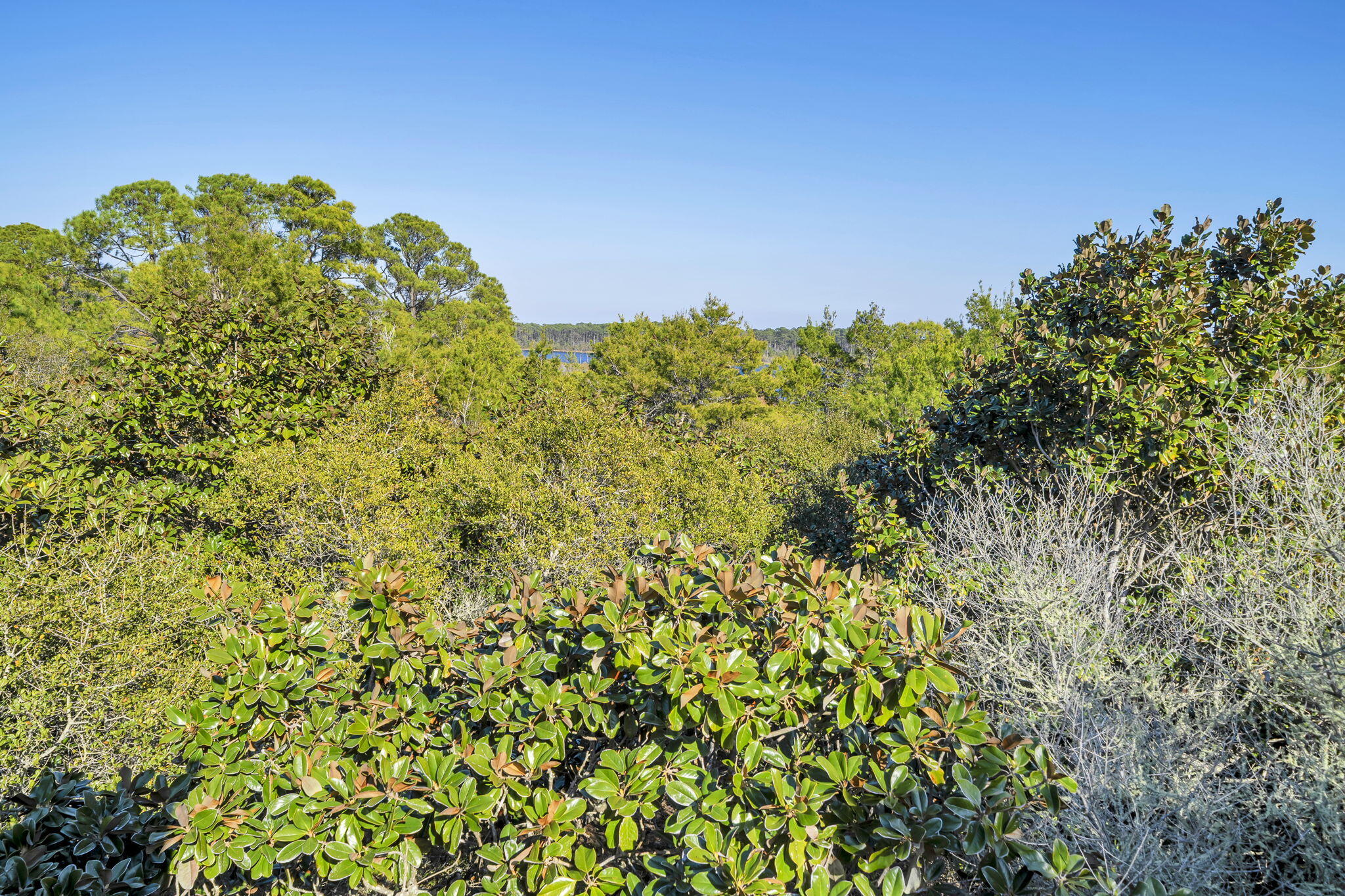211 Missile Hill Road Miramar Beach, FL 32550 - Photo 27 of 80 27-web-or-mls-DSC05264