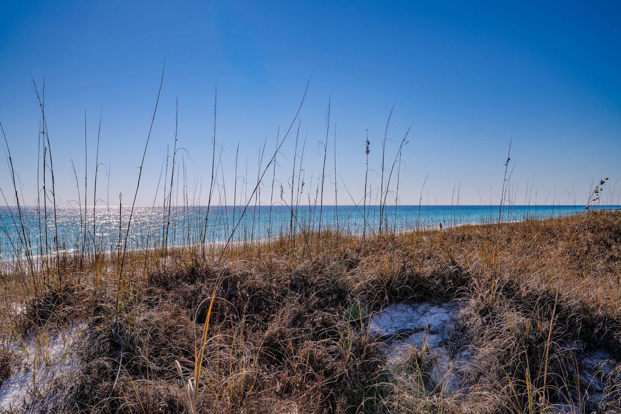 211 Missile Hill Road Miramar Beach, FL 32550 - Photo 72 of 80 71-web-or-mls-DSC07249