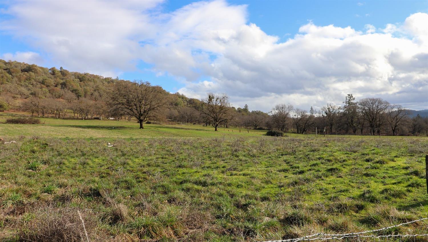 644 Upper River Road Central Point, OR 97502 - Photo 3 of 10 a view of a field with an trees