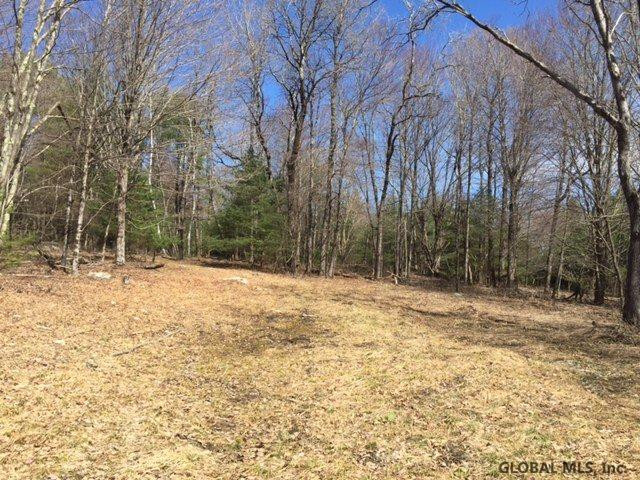 Whitman Road Stephentown, NY 12168 - Photo 2 of 5 Photo 2