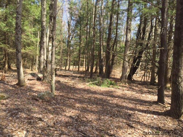 Whitman Road Stephentown, NY 12168 - Photo 3 of 5 Photo 3