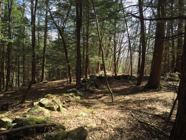 Whitman Road Stephentown, NY 12168 - Photo 4 of 5 Photo 4