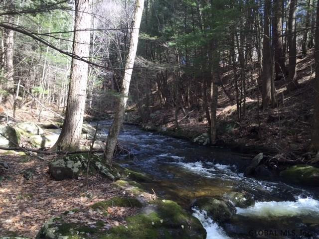 Whitman Road Stephentown, NY 12168 - Photo 5 of 5 Photo 5