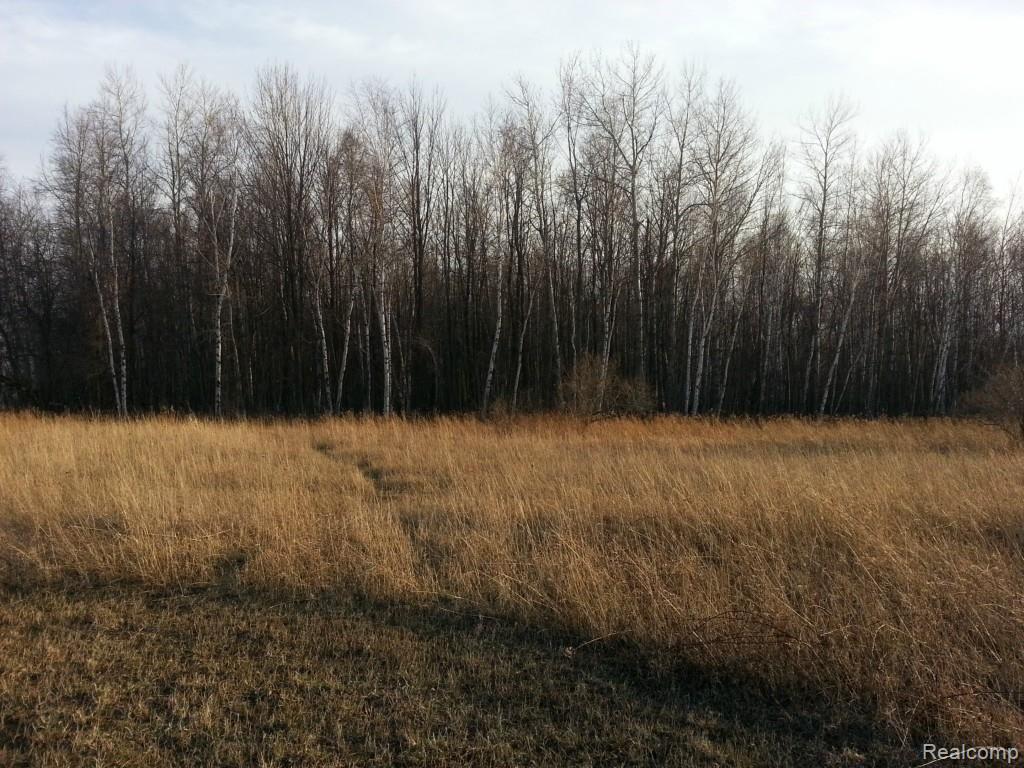 236 Stone Road Deckerville, MI 48427 - Photo 11 of 32 20150412_190714.jpg