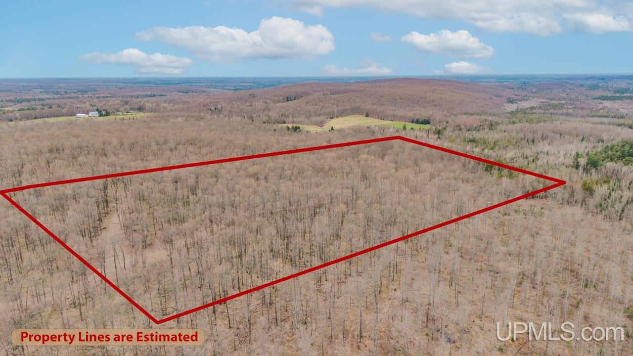 Tbd Hupp Road Vulcan, MI 49892 - Photo 10 of 12