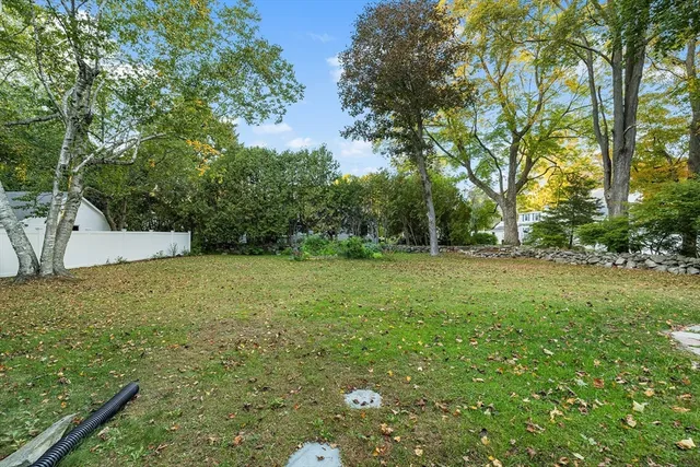 a view of a yard with a tree