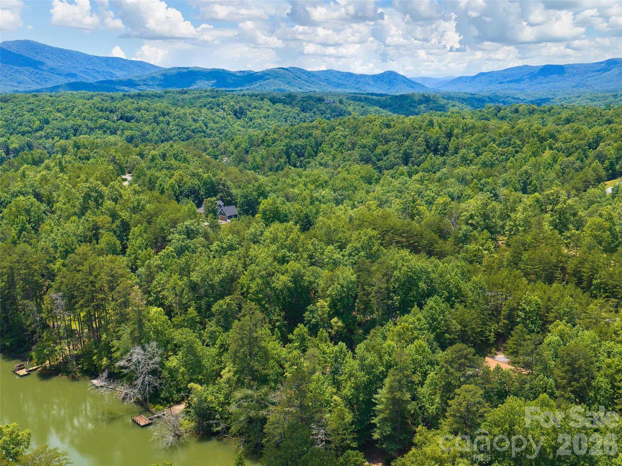 Lot 14 Parkway North Rd Mill Spring, Unit 14 Mill Spring, NC 28756 - Photo 9 of 14