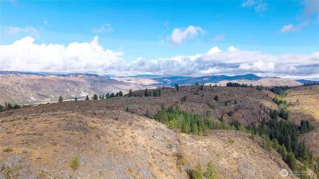 a view of a field with mountains in the background