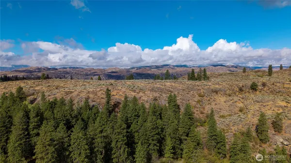 a view of a field with an trees