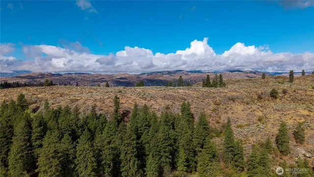 a view of a field with an trees