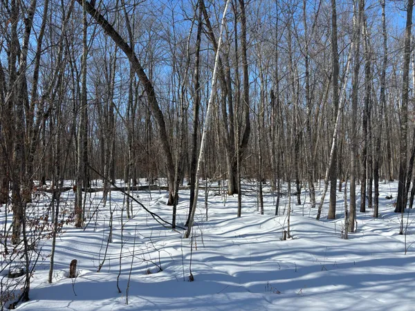 $95,000 | Tbd 235th Place, McGregor, MN 55760