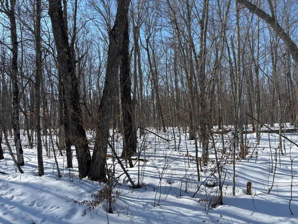 $95,000 | Tbd 235th Place, McGregor, MN 55760