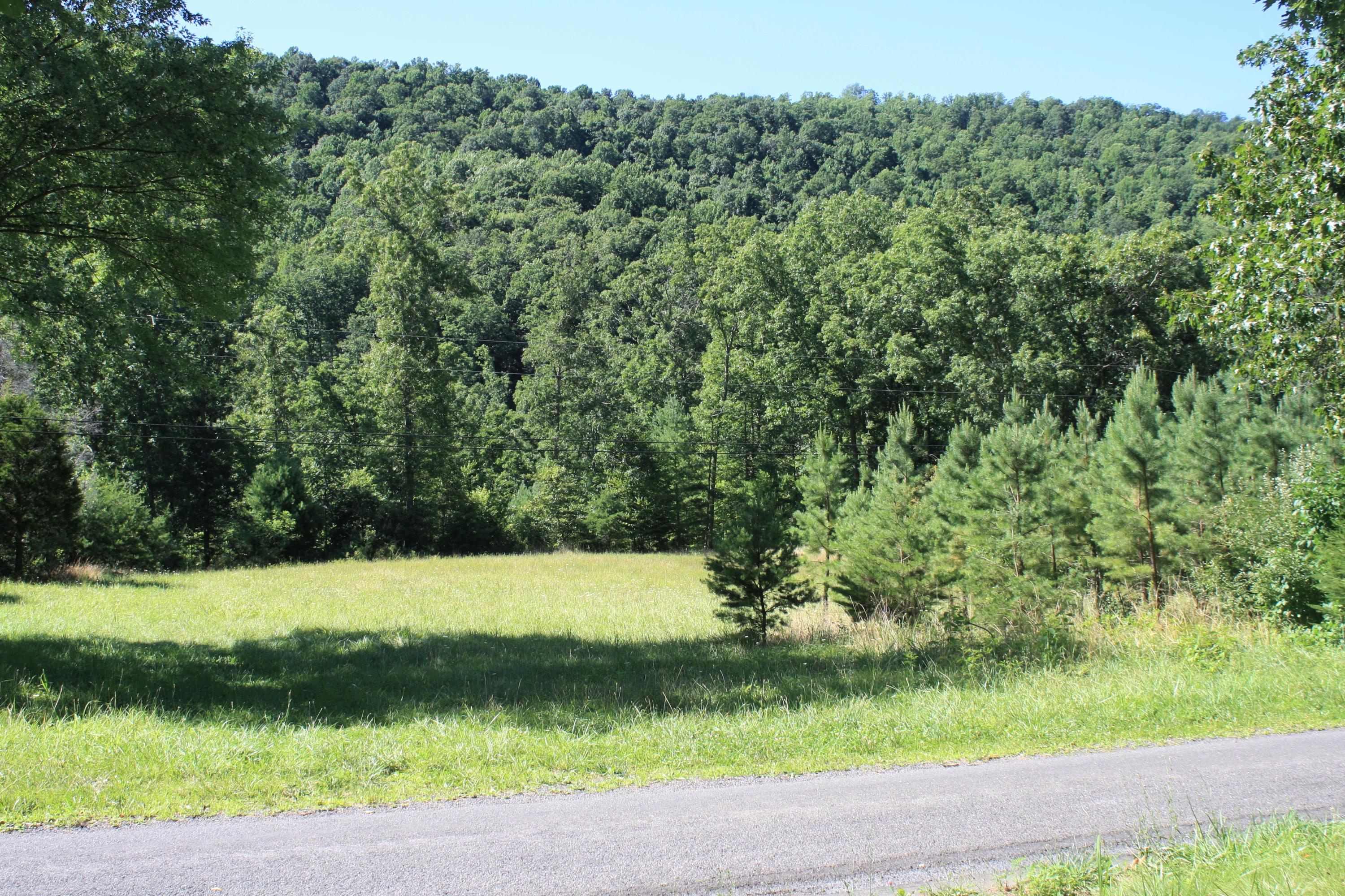 8101 Mill Branch Road Covington, VA 24426 - Photo 1 of 15 Main View