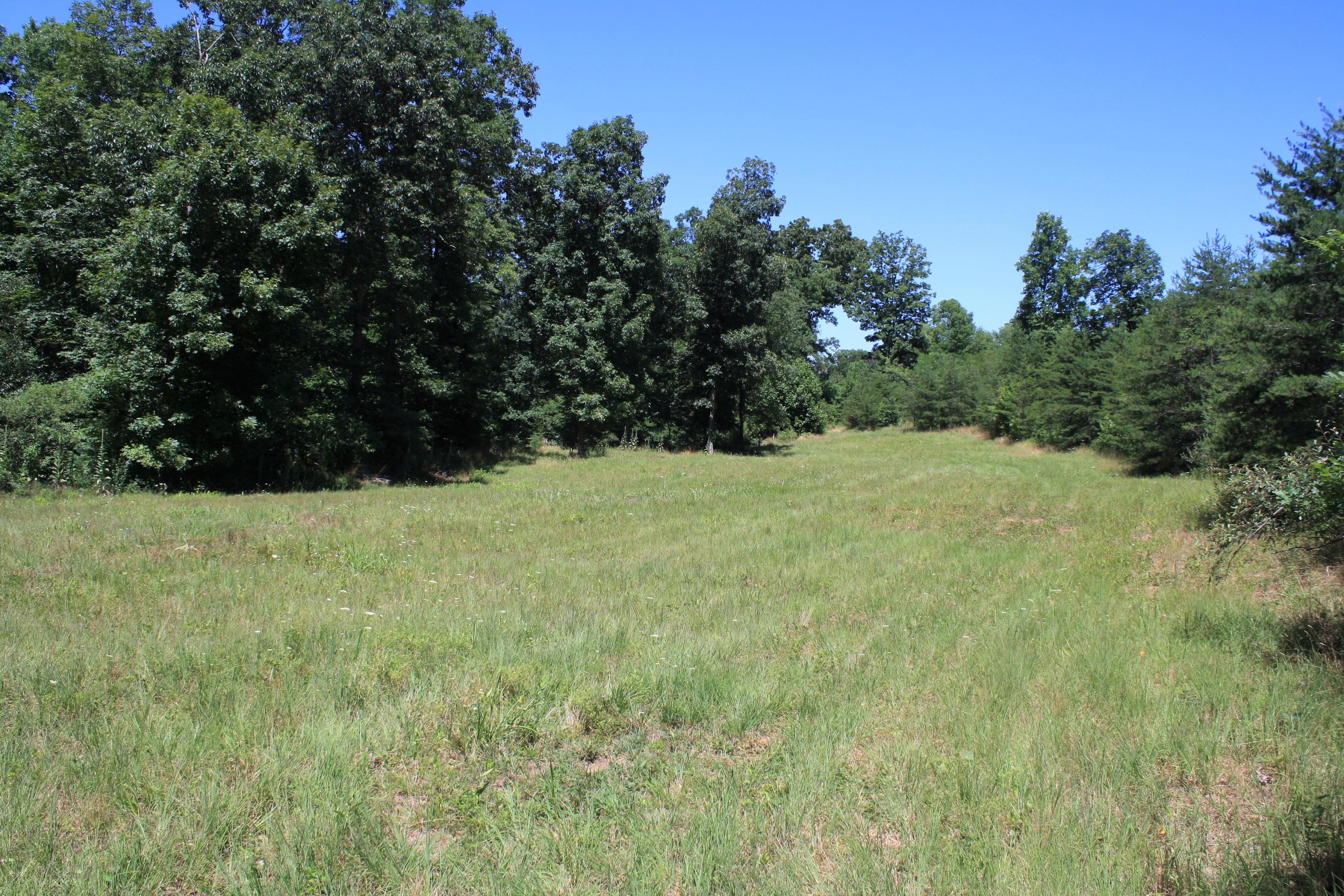 8101 Mill Branch Road Covington, VA 24426 - Photo 11 of 15 Small Field On Property