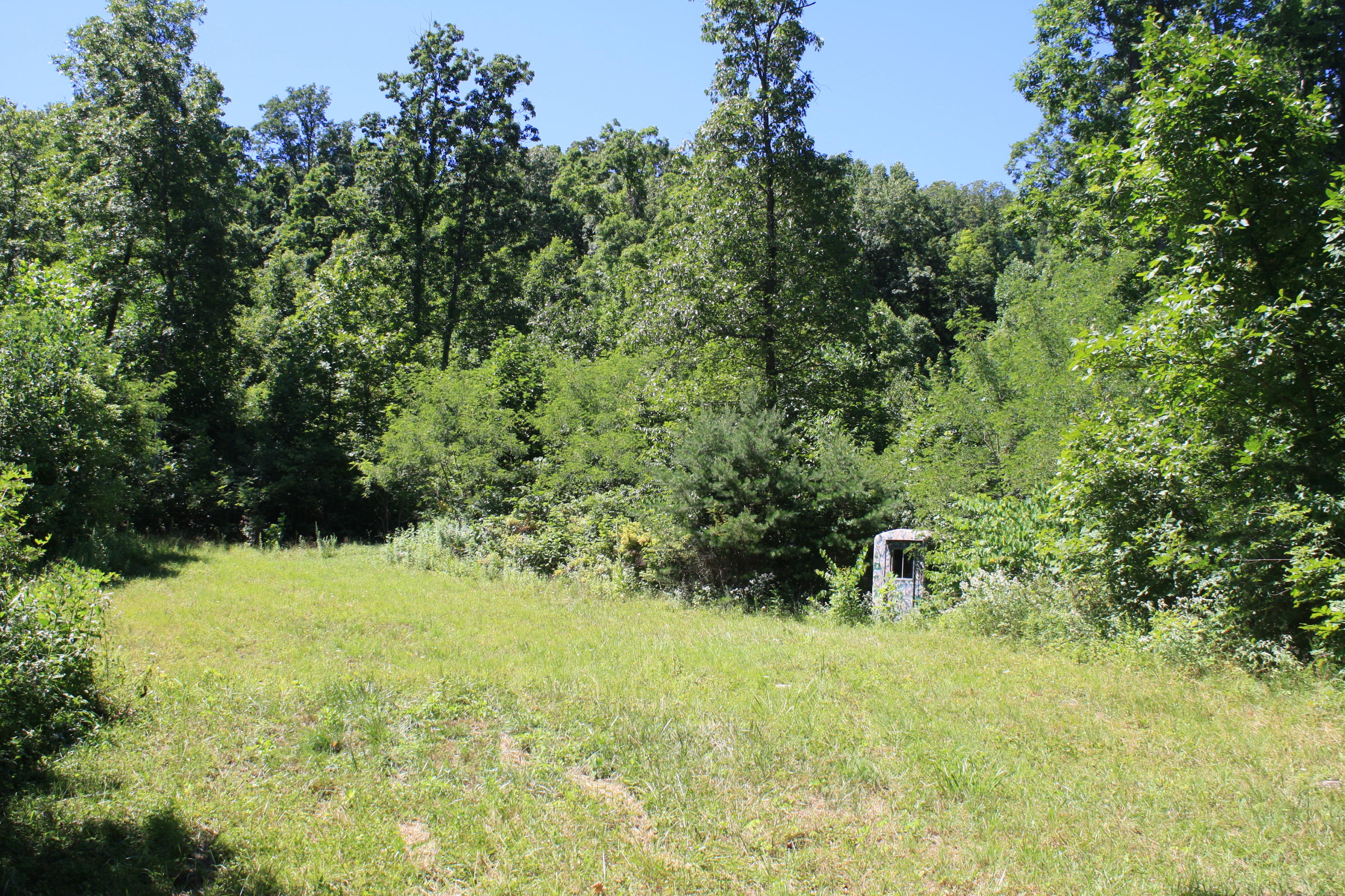 8101 Mill Branch Road Covington, VA 24426 - Photo 12 of 15 Small Field With Hunting Blind - Copy