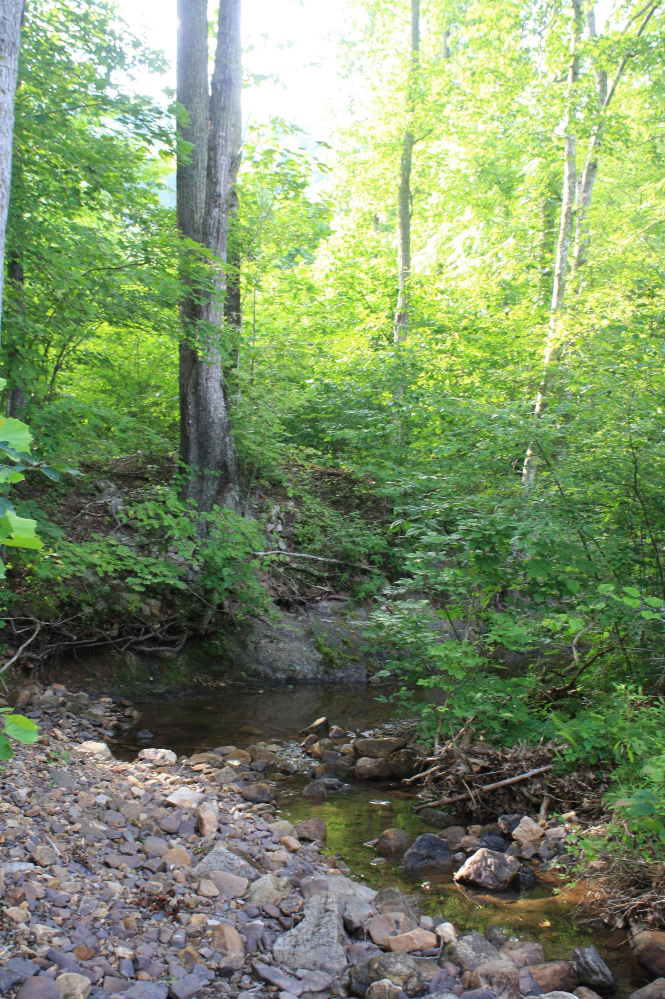 8101 Mill Branch Road Covington, VA 24426 - Photo 14 of 15 Mill Branch