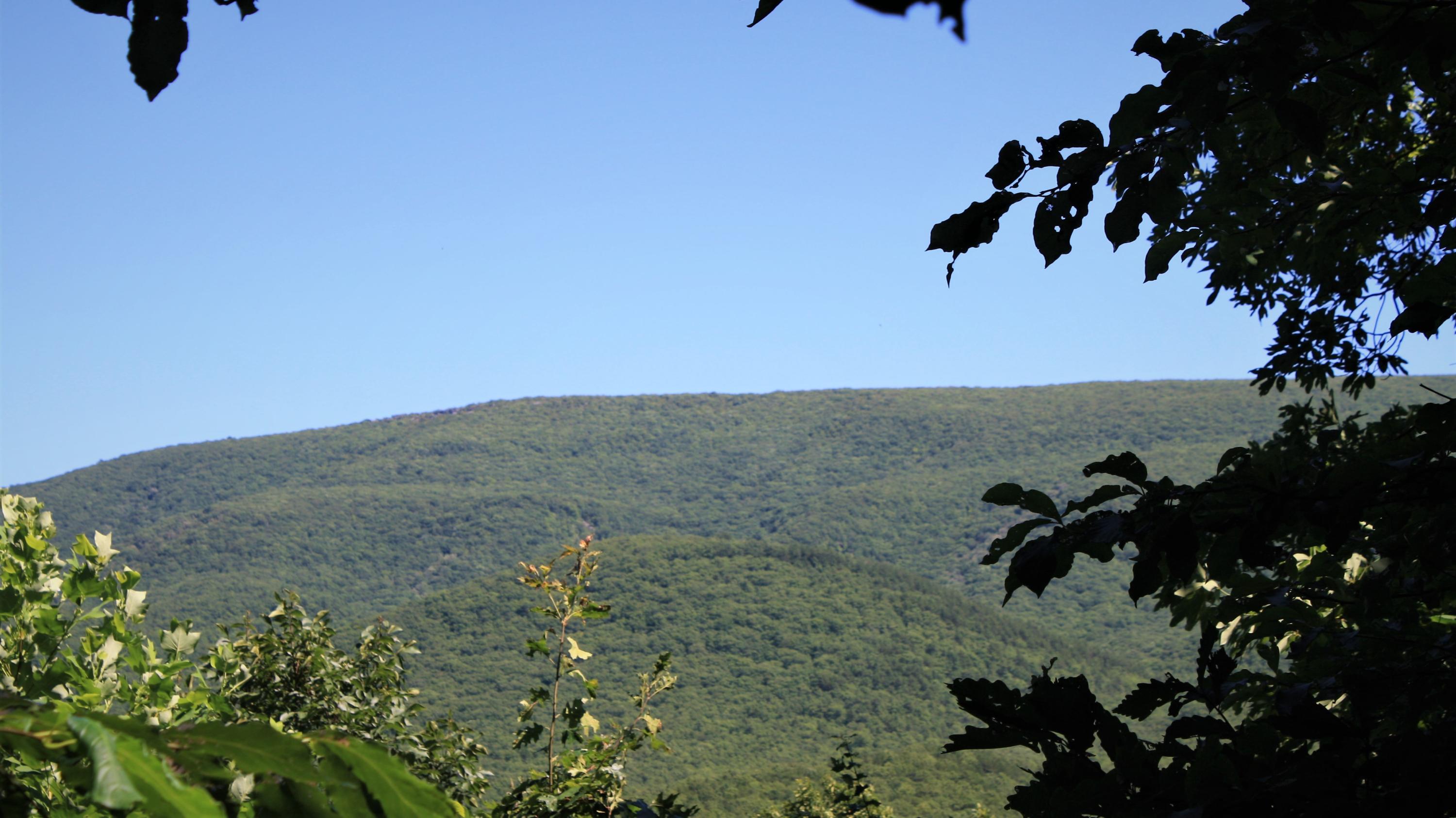 8101 Mill Branch Road Covington, VA 24426 - Photo 15 of 15 Long Distance Mountain View - Copy