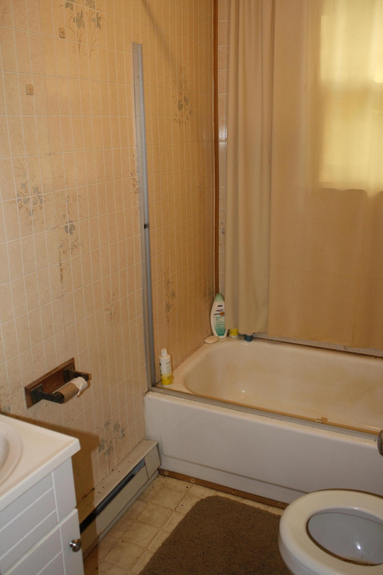 8101 Mill Branch Road Covington, VA 24426 - Photo 7 of 15 Bath