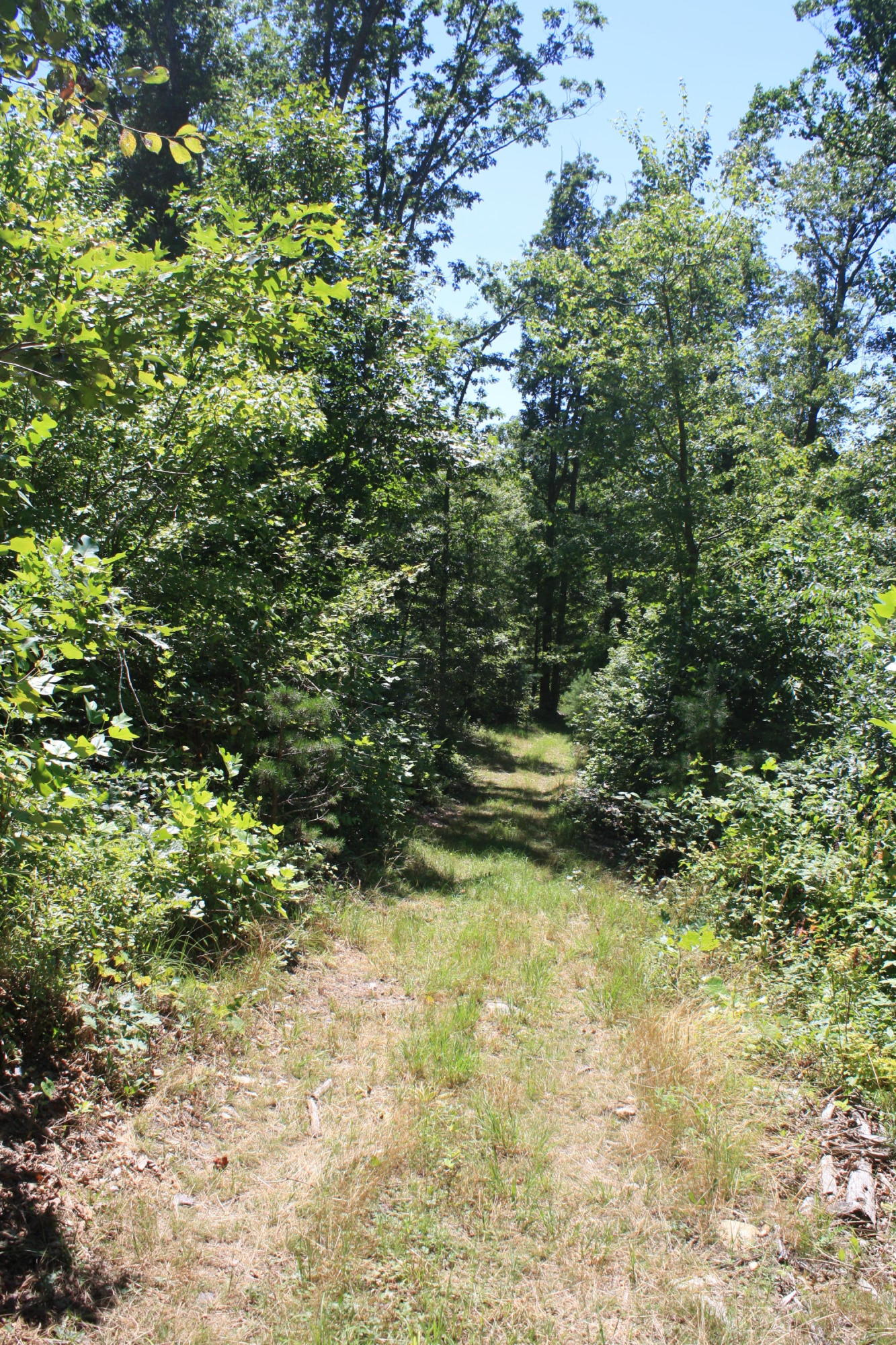 8101 Mill Branch Road Covington, VA 24426 - Photo 9 of 15 Interior Road