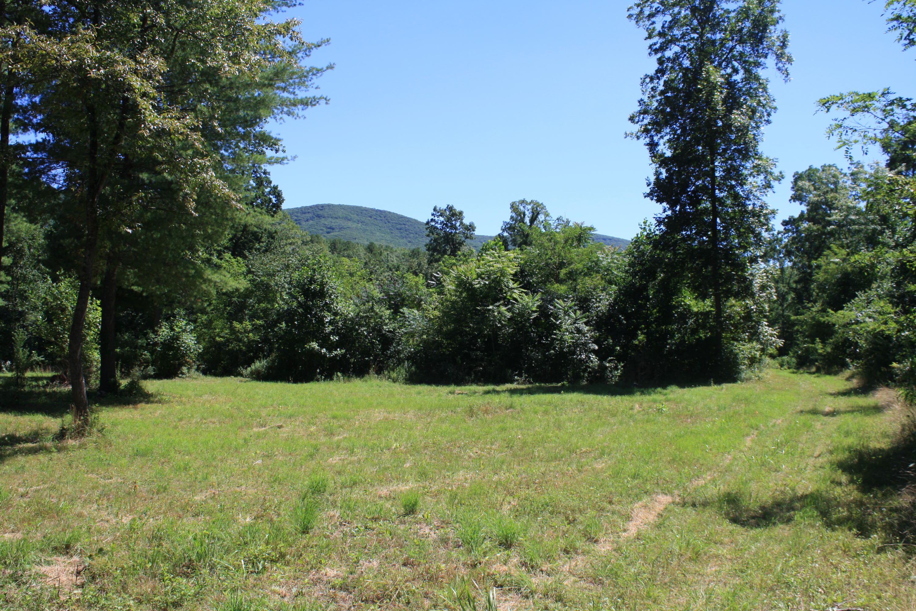8101 Mill Branch Road Covington, VA 24426 - Photo 10 of 15 Small Field And Mountain View