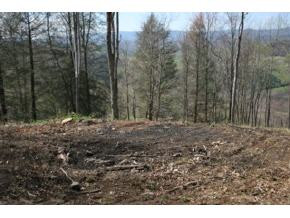 321 Of Draft Road Butler, TN 37640 - Photo 2 of 6 Photo 2