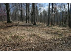 321 Of Draft Road Butler, TN 37640 - Photo 3 of 6 Photo 3