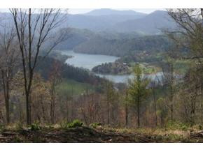321 Of Draft Road Butler, TN 37640 - Photo 4 of 6 Photo 4