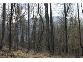 321 Of Draft Road Butler, TN 37640 - Photo 5 of 6 Photo 5