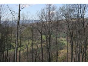 321 Of Draft Road Butler, TN 37640 - Photo 6 of 6 Photo 6