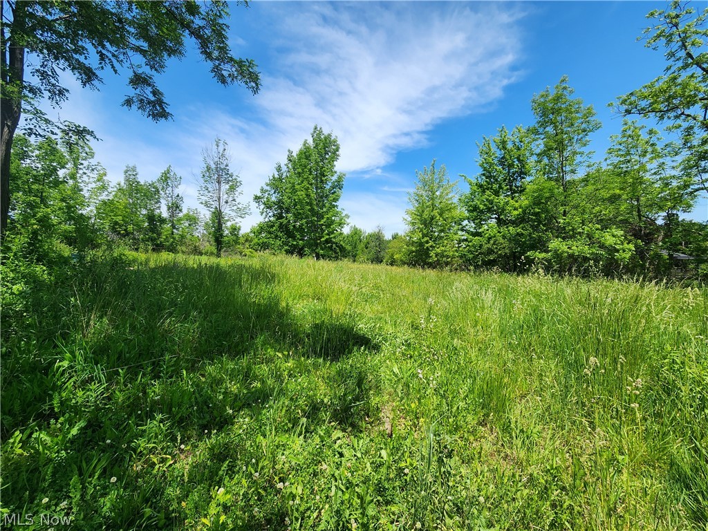 14161 Painesville Warren Road Painesville, OH 44077 - Photo 4 of 4