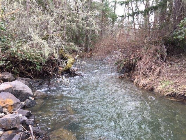 7900 Takilma Road Cave Junction, OR 97523 - Photo 1 of 22 Big Elder Creek