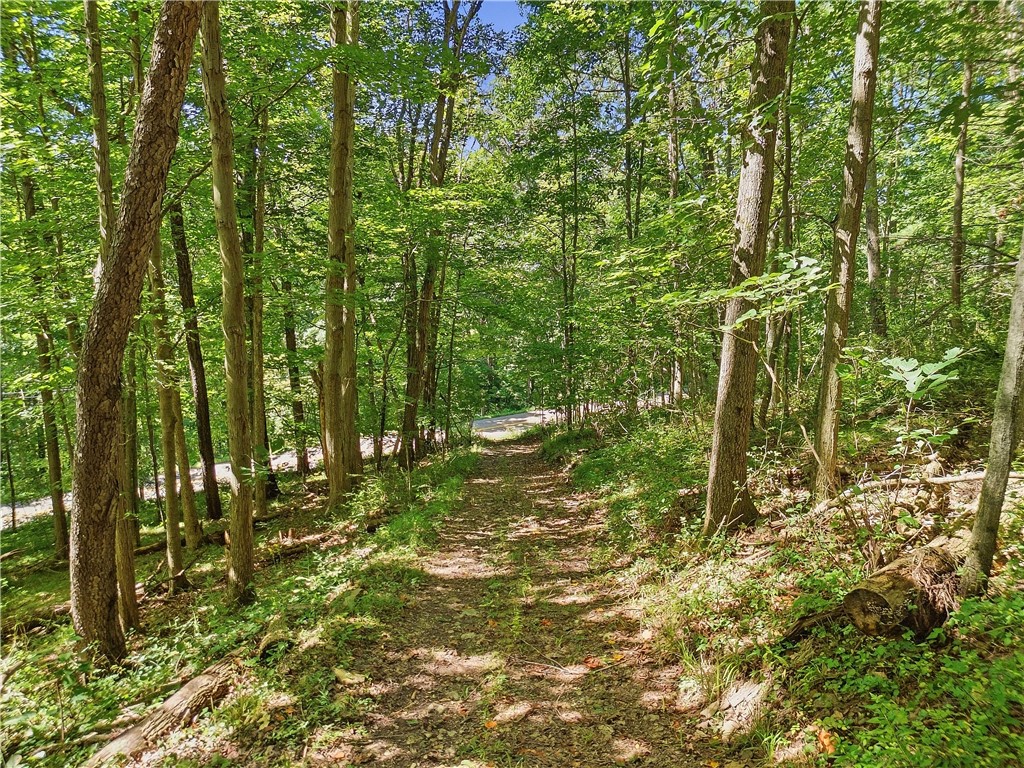 River Road Lindley, NY 14858 - Photo 11 of 21 Gallery Image 11