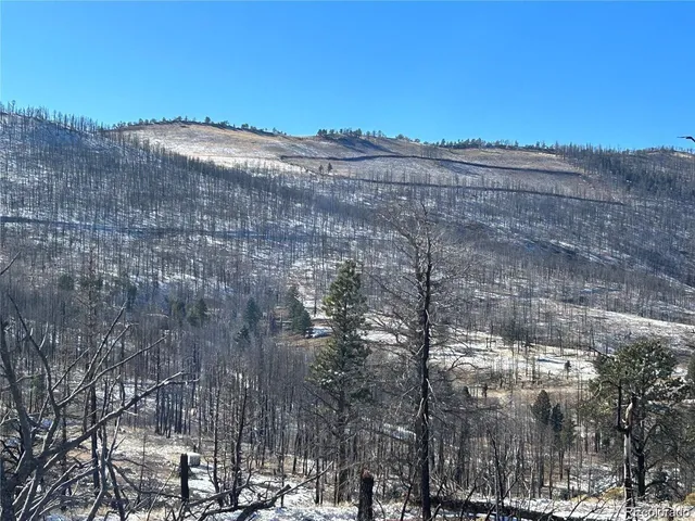 $15,000 | 1039 Forbes Park Ranch, Fort Garland, CO 81133