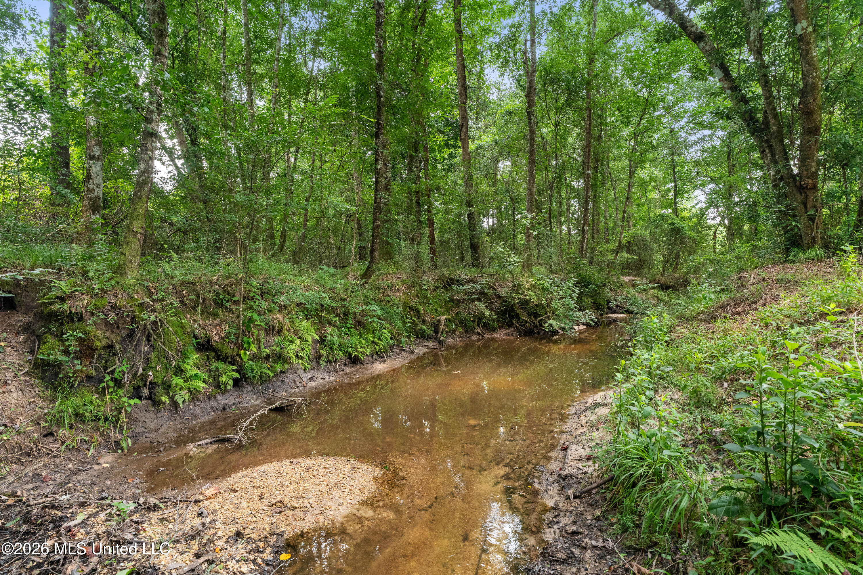 232 Knoxo Columbia Road Tylertown, MS 39667 - Photo 100 of 120 232_Knoxo_Columbia_Rd-99