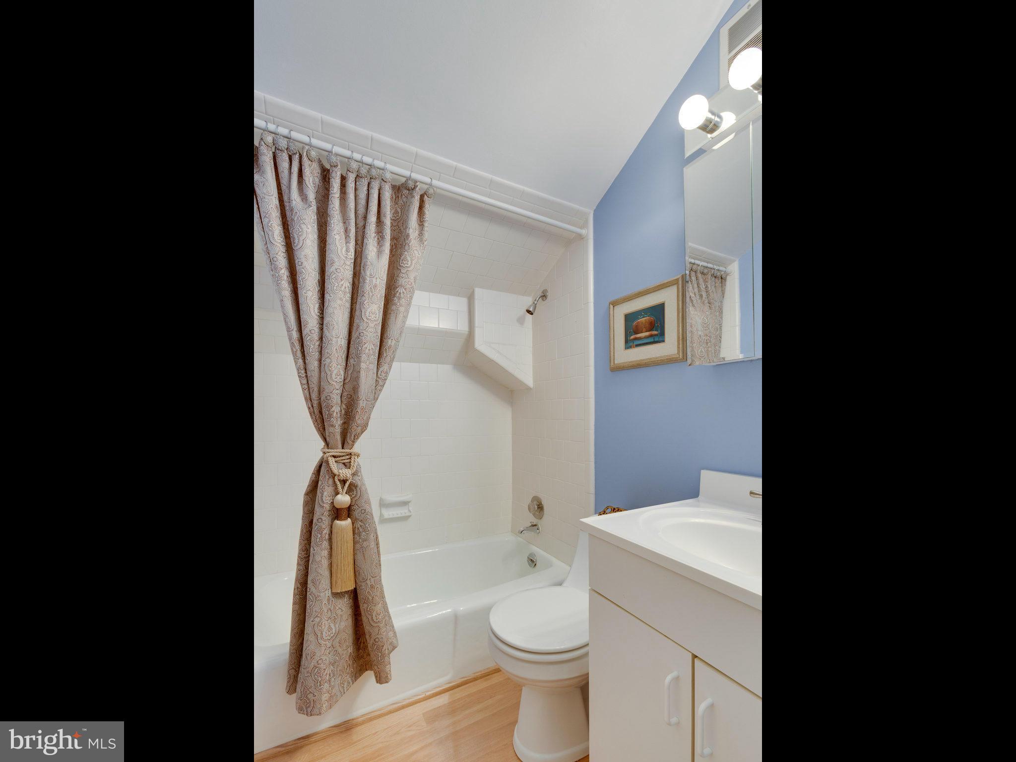 11044 Ring Road Reston, VA 20190 - Photo 15 of 30 Bath