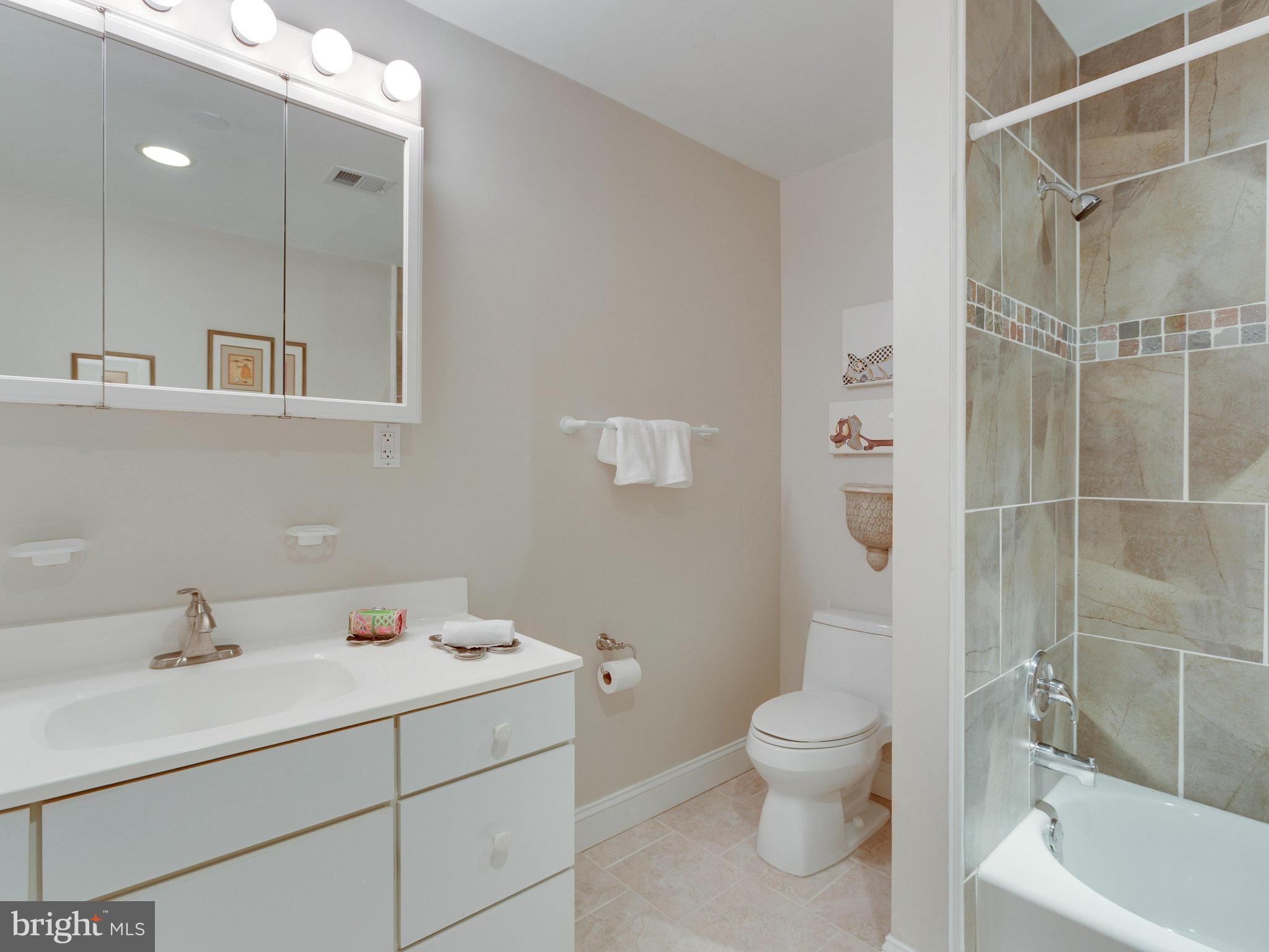 11044 Ring Road Reston, VA 20190 - Photo 23 of 30 Bath