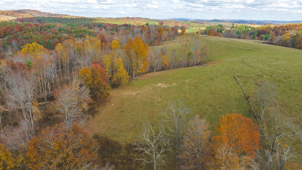 Lot 3 Ridgeview Road Floyd, VA 24091 - Photo 14 of 27 Gallery Image 14