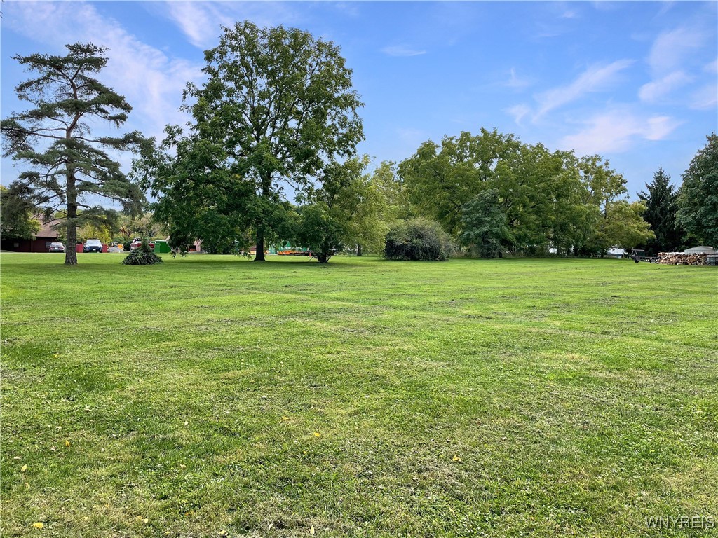 Chestnut Street Perry, NY 14530 - Photo 11 of 13