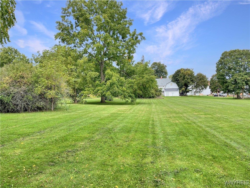 Chestnut Street Perry, NY 14530 - Photo 13 of 13