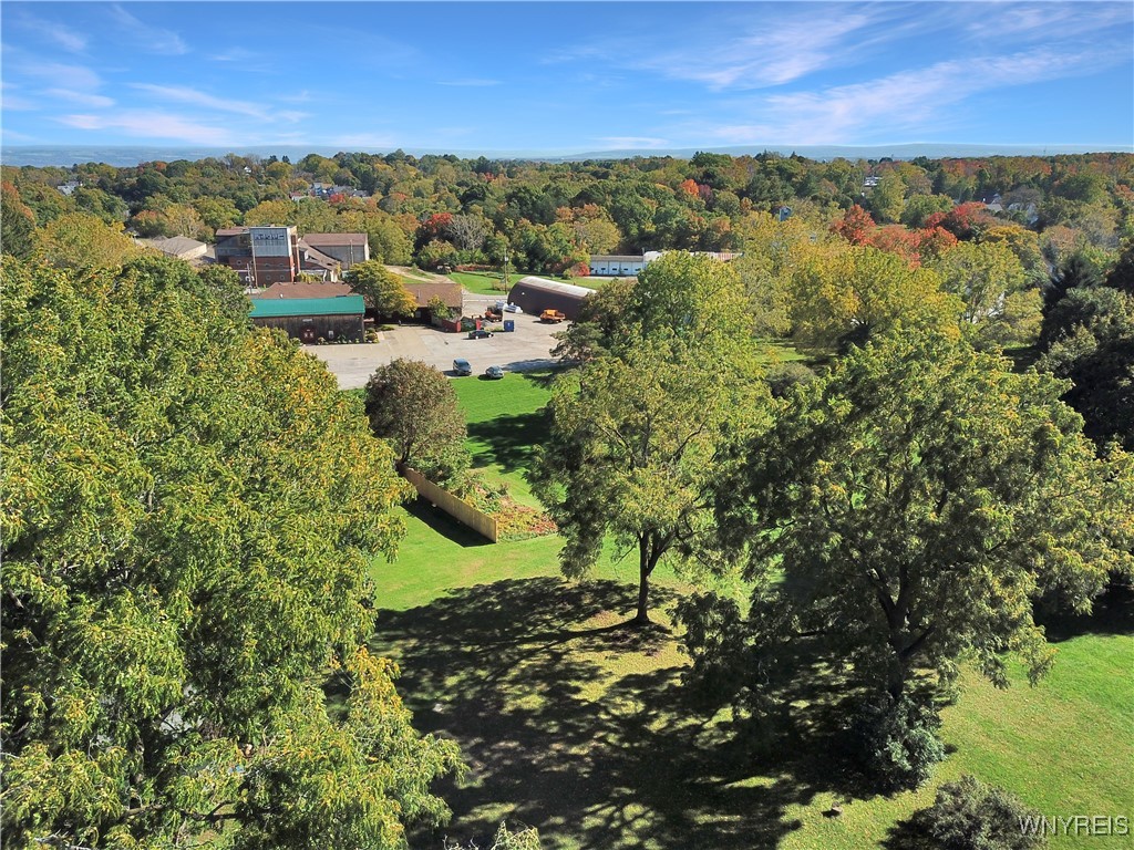 Chestnut Street Perry, NY 14530 - Photo 6 of 13