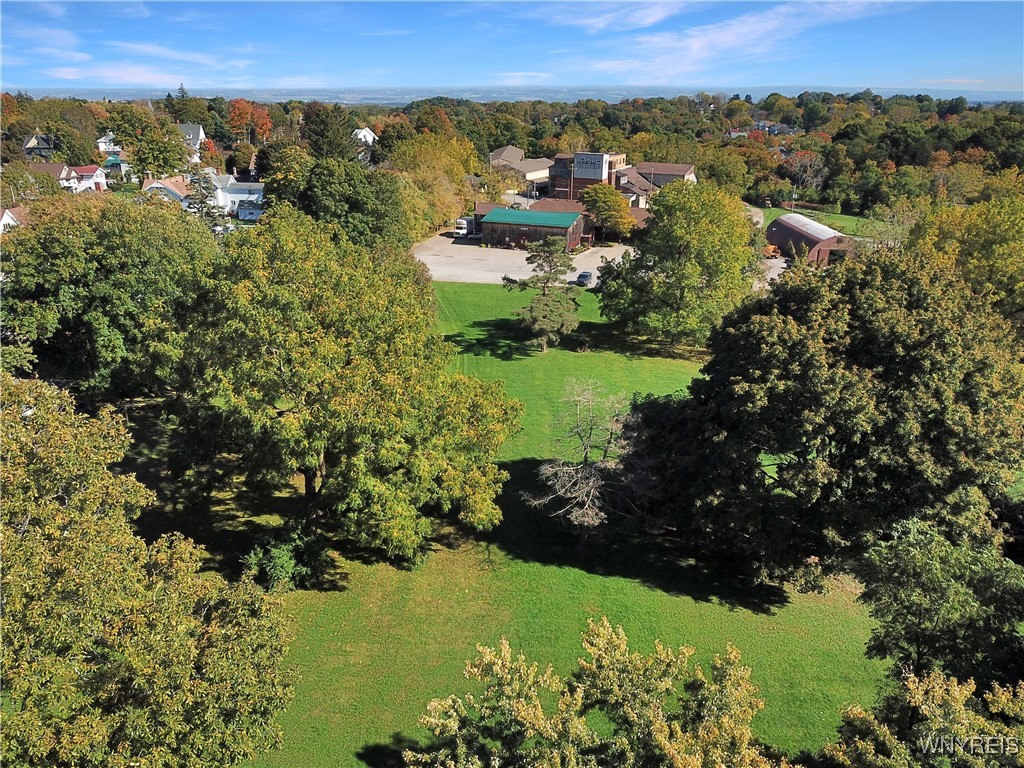 Chestnut Street Perry, NY 14530 - Photo 7 of 13