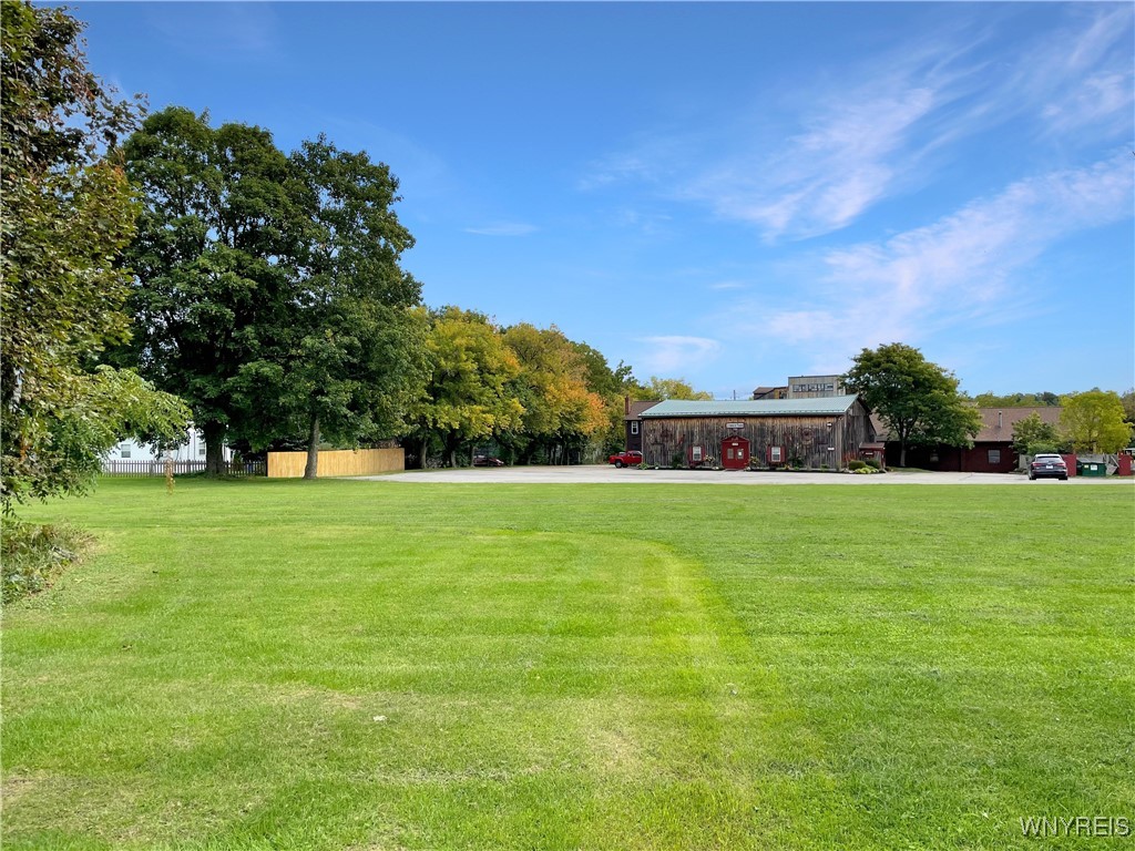 Chestnut Street Perry, NY 14530 - Photo 9 of 13