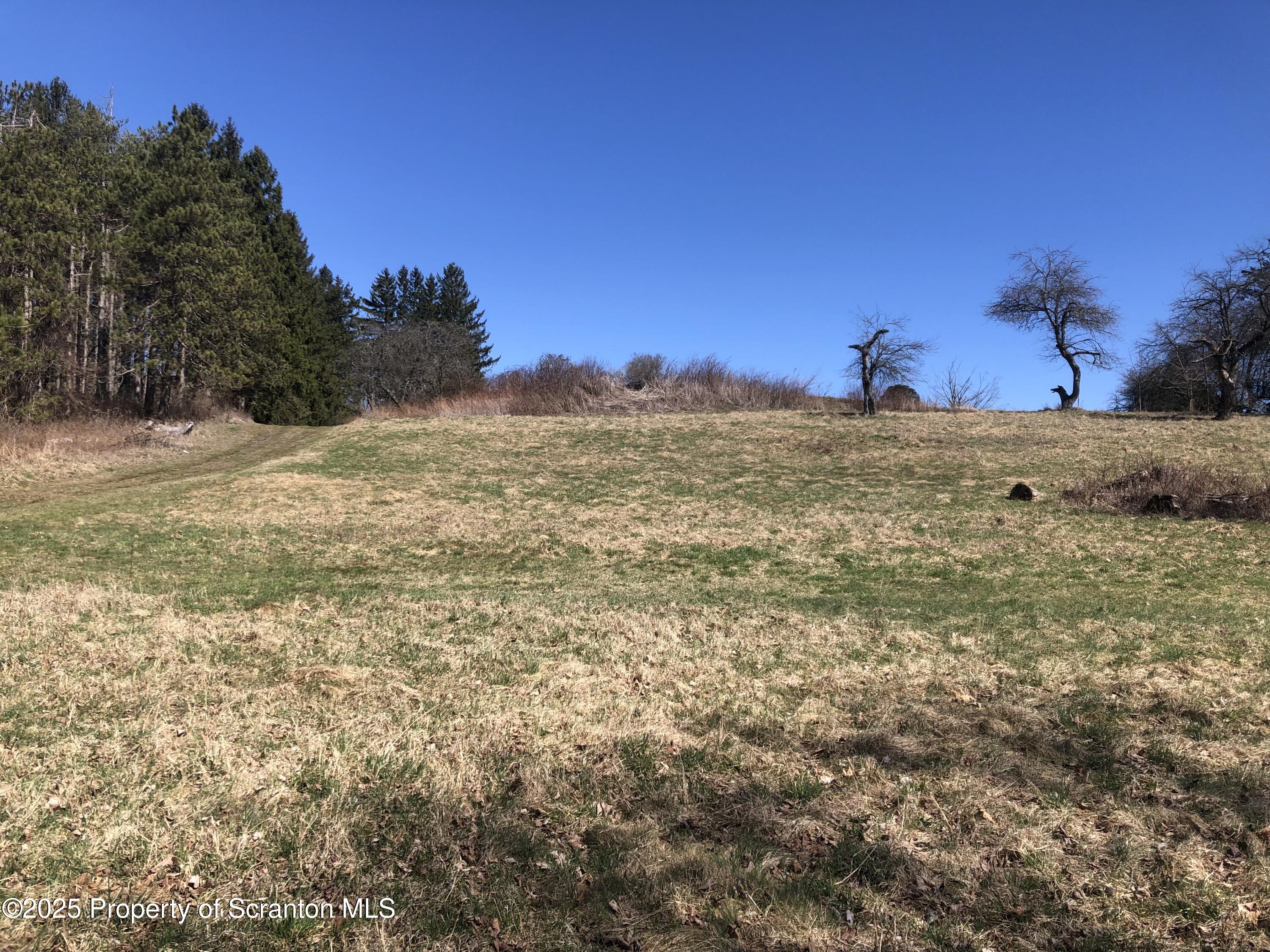 a view of a field with trees in the background