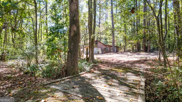 a view of a yard and tree