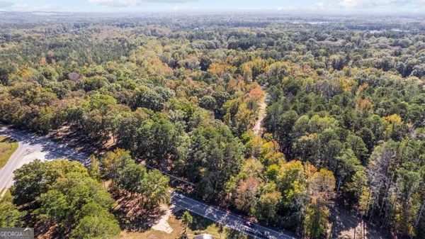 an aerial view of forest