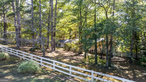 a view of a yard with plants and trees