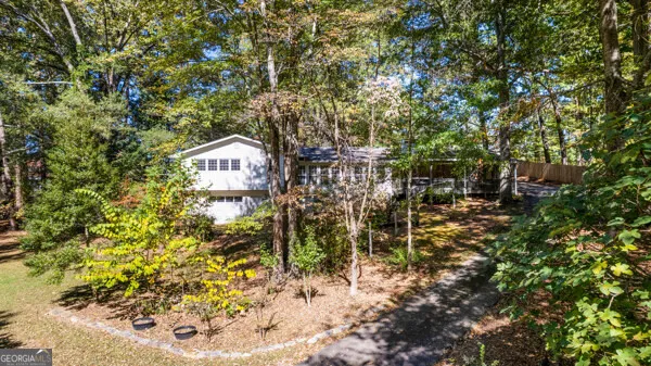 a view of a bunch of plants and trees