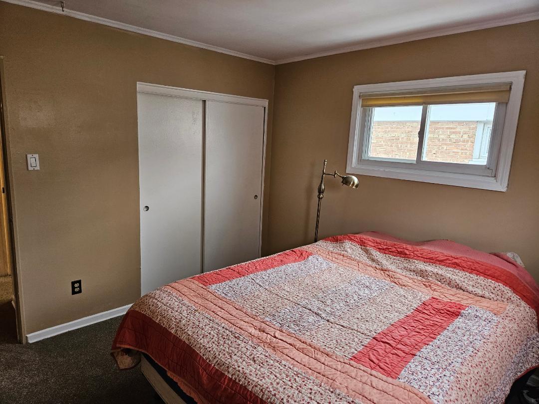 7436 West 58th Street Summit, IL 60501 - Photo 10 of 21