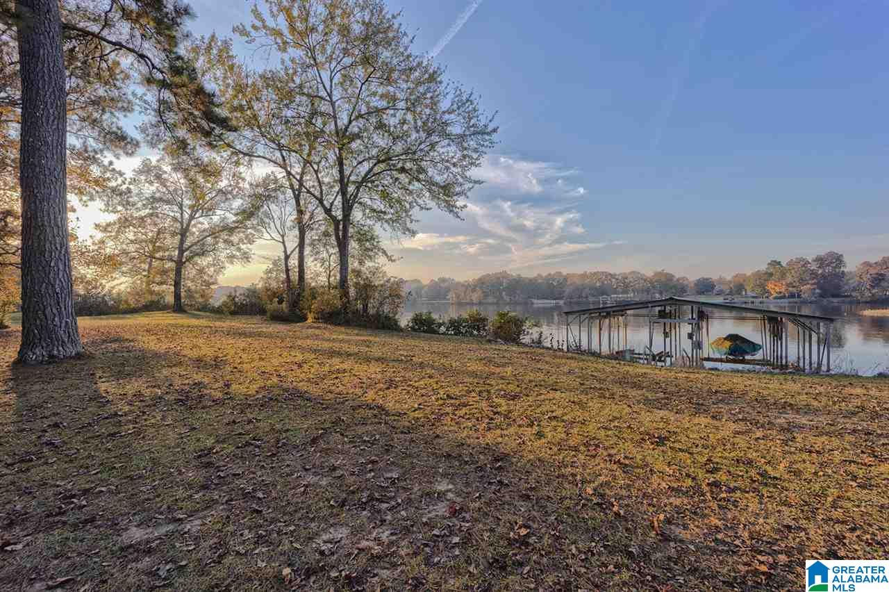 145 River Run Road Childersburg, AL 35044 - Photo 46 of 49